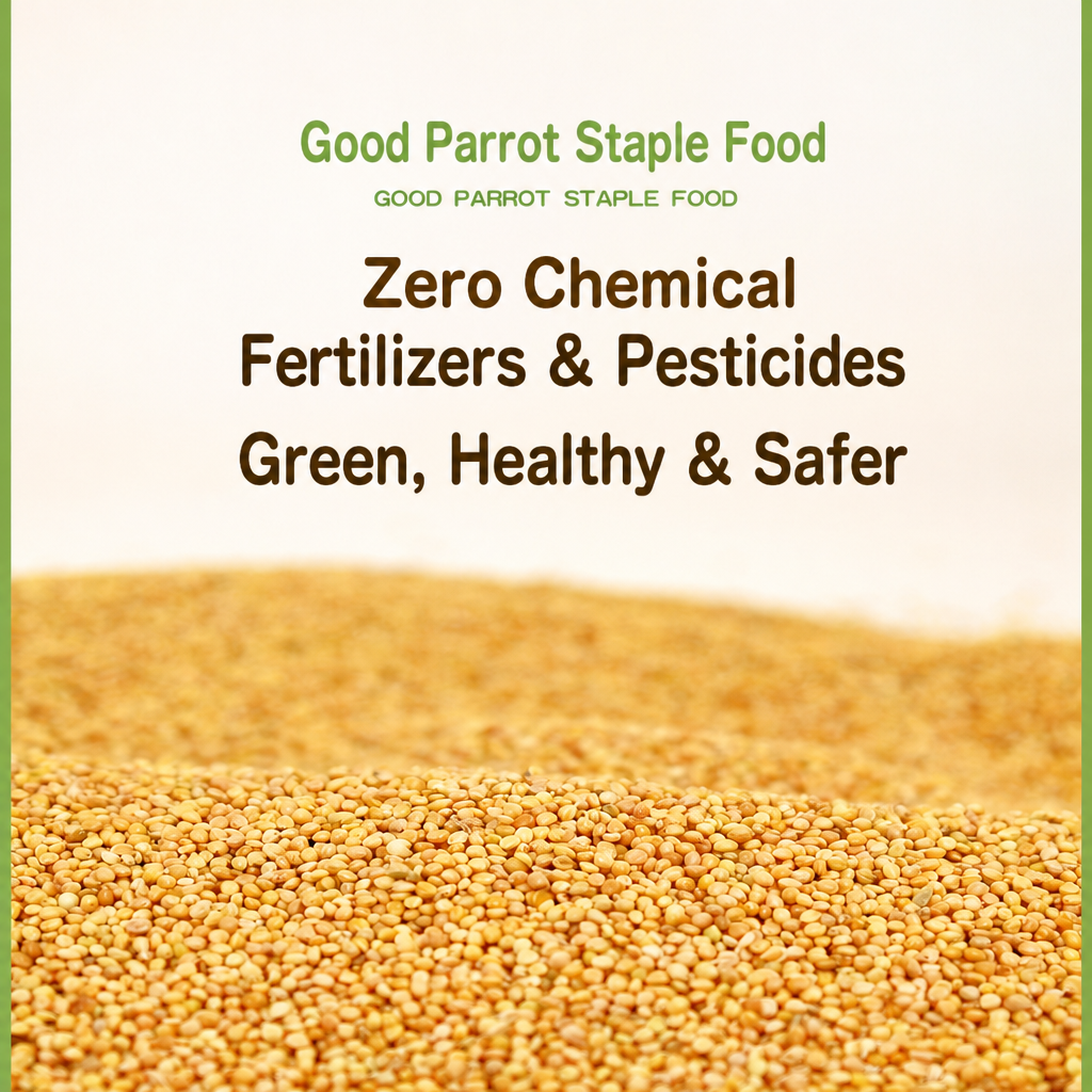 Hulled yellow millet parrot food - detail 005