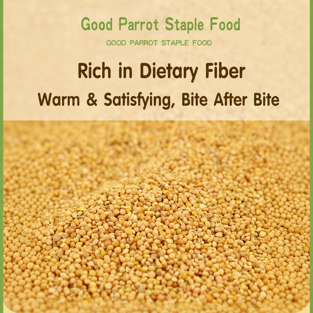 Hulled yellow millet parrot food - detail 006