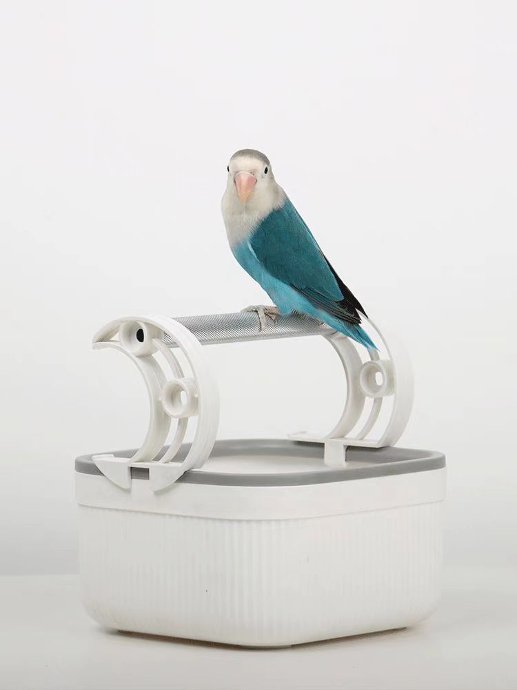 Parrot Desktop Perch Stand – E - detail_006.jpg