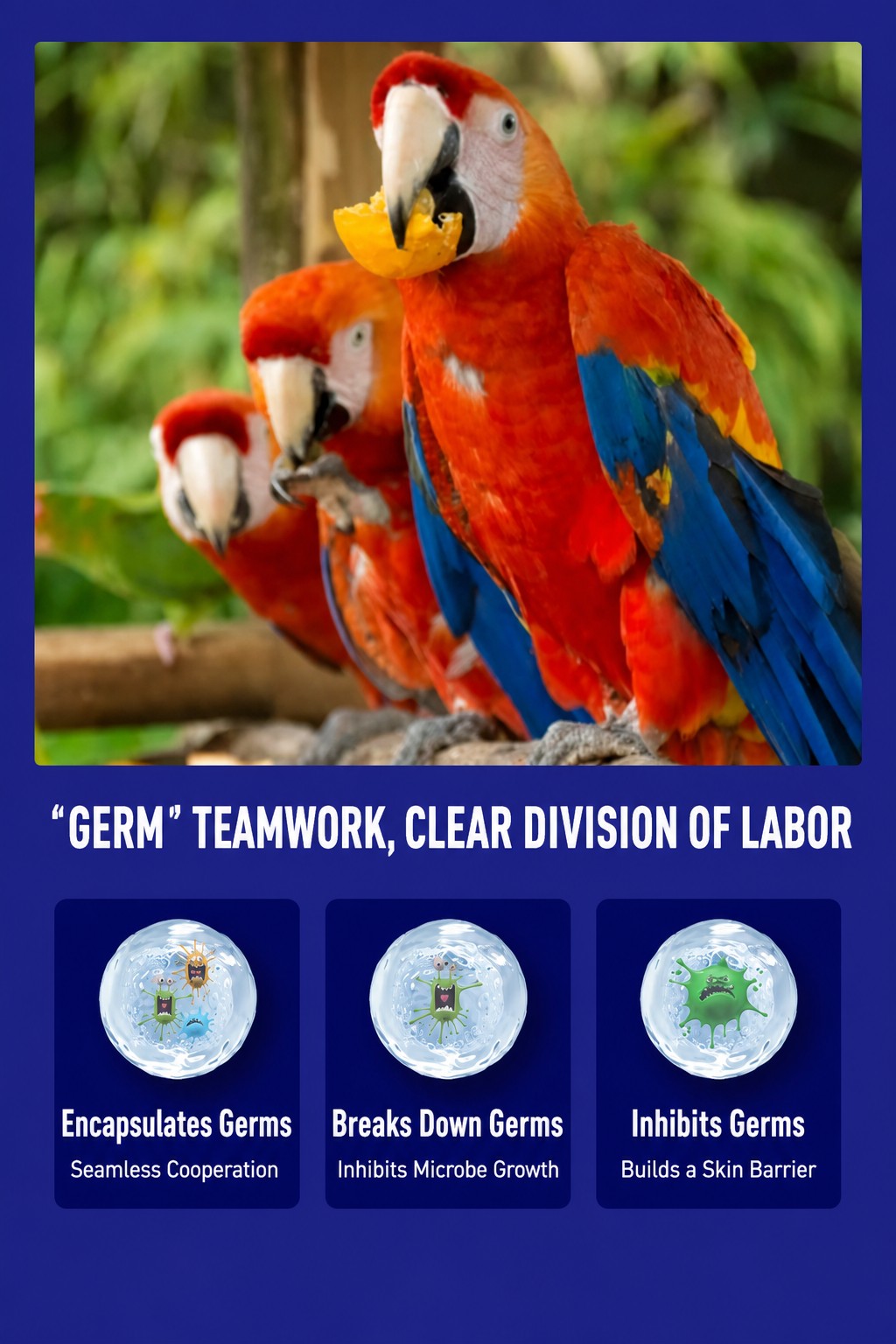 Parrot Cleaning Spray – One-Sp - detail_006.png