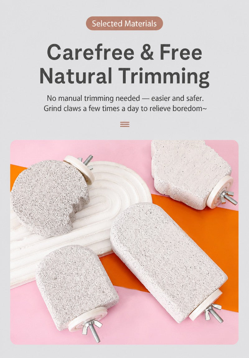 Ice Cream Bar Parrot Nail-Trim - detail_006.png