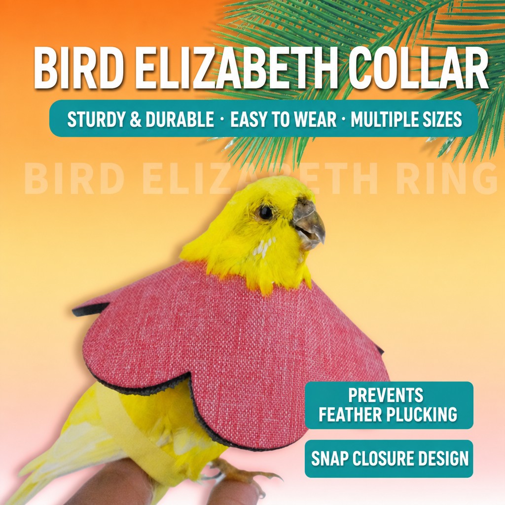 Bird Elizabethan Collar – Inju - detail_006.png