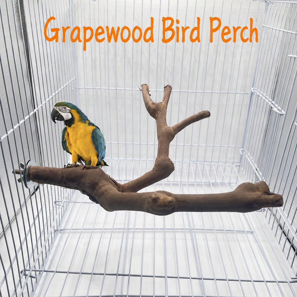 Natural Double-Branch Grapewoo - detail_006.png