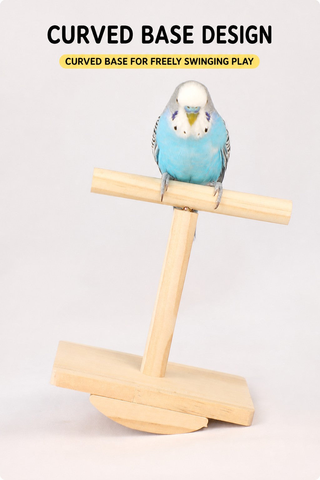 Prickly Ash Wood Parrot Rocker - detail_006.jpg