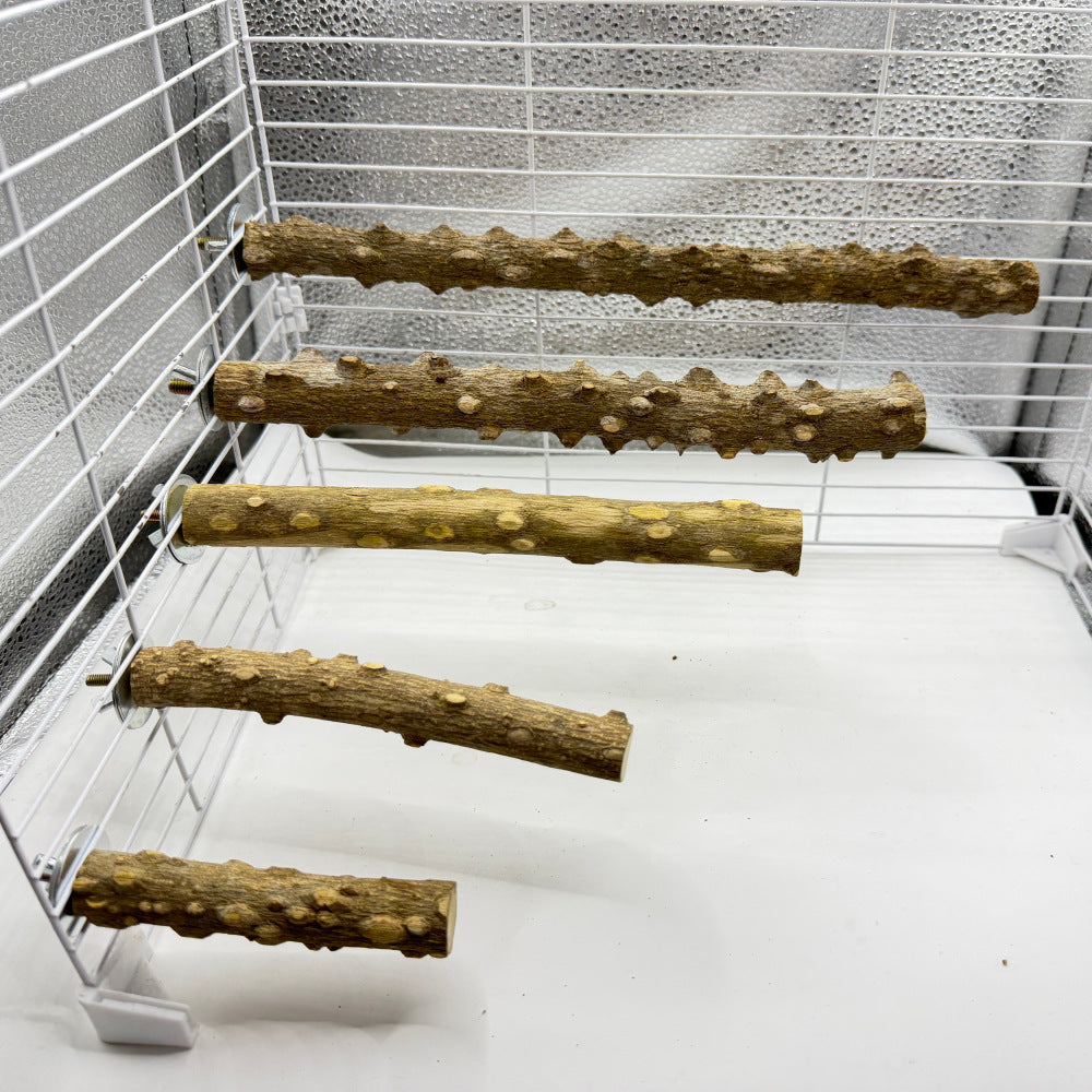 Natural Prickly Ash Wood Perch - detail_006.jpg