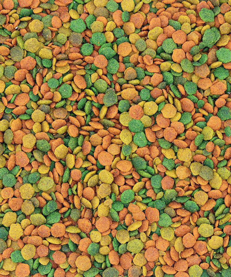 Premium Parrot Pellets – Compl - detail_007.jpg