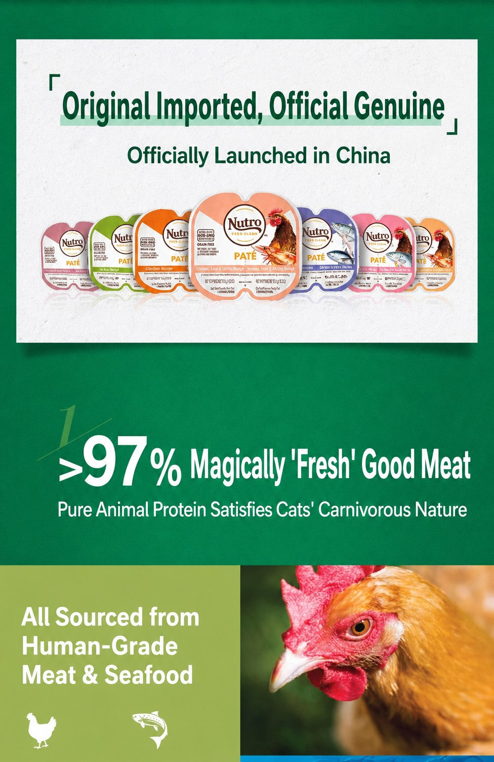 Split-Box Wet Cat Food – Compl - detail_007.png
