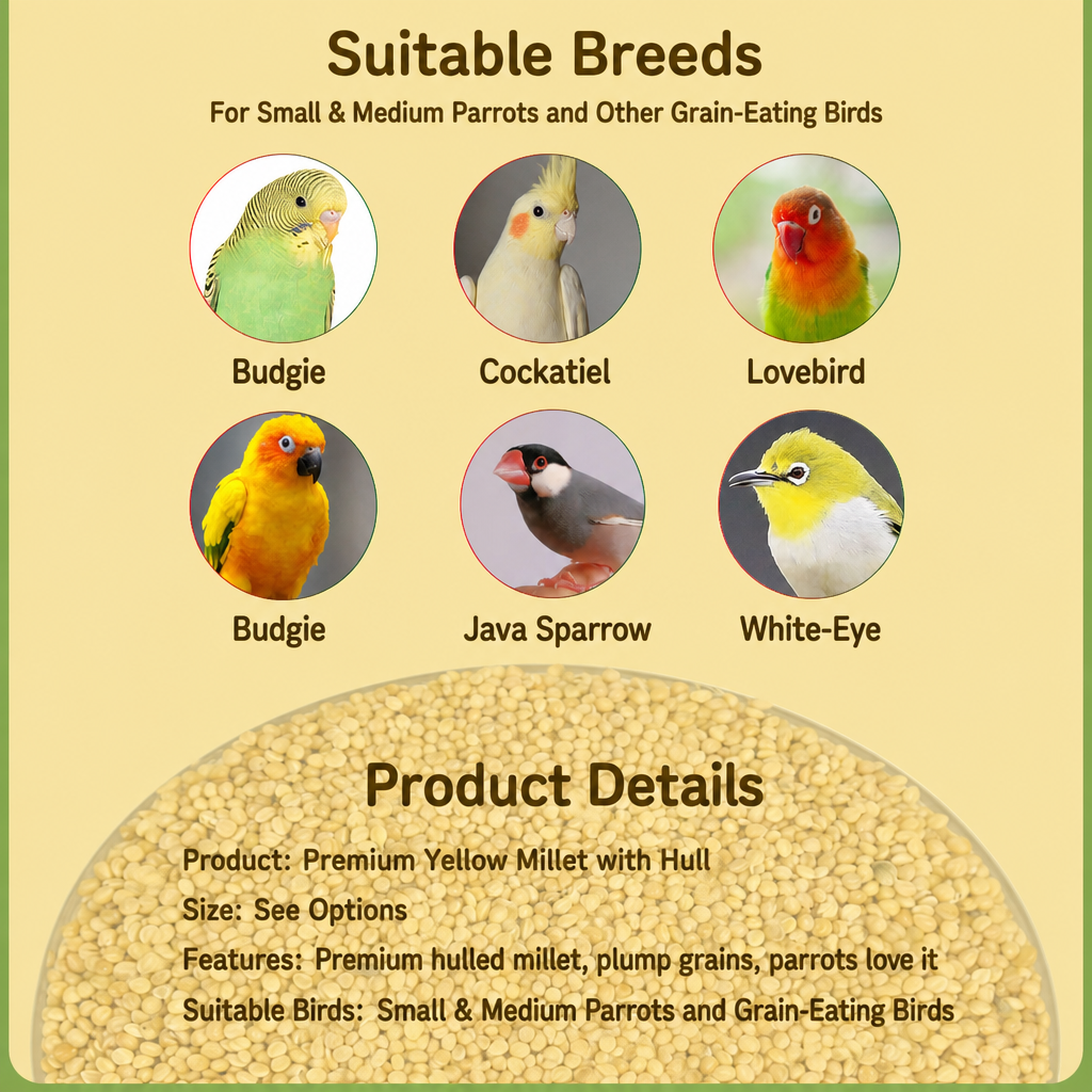 Hulled yellow millet parrot food - detail 007