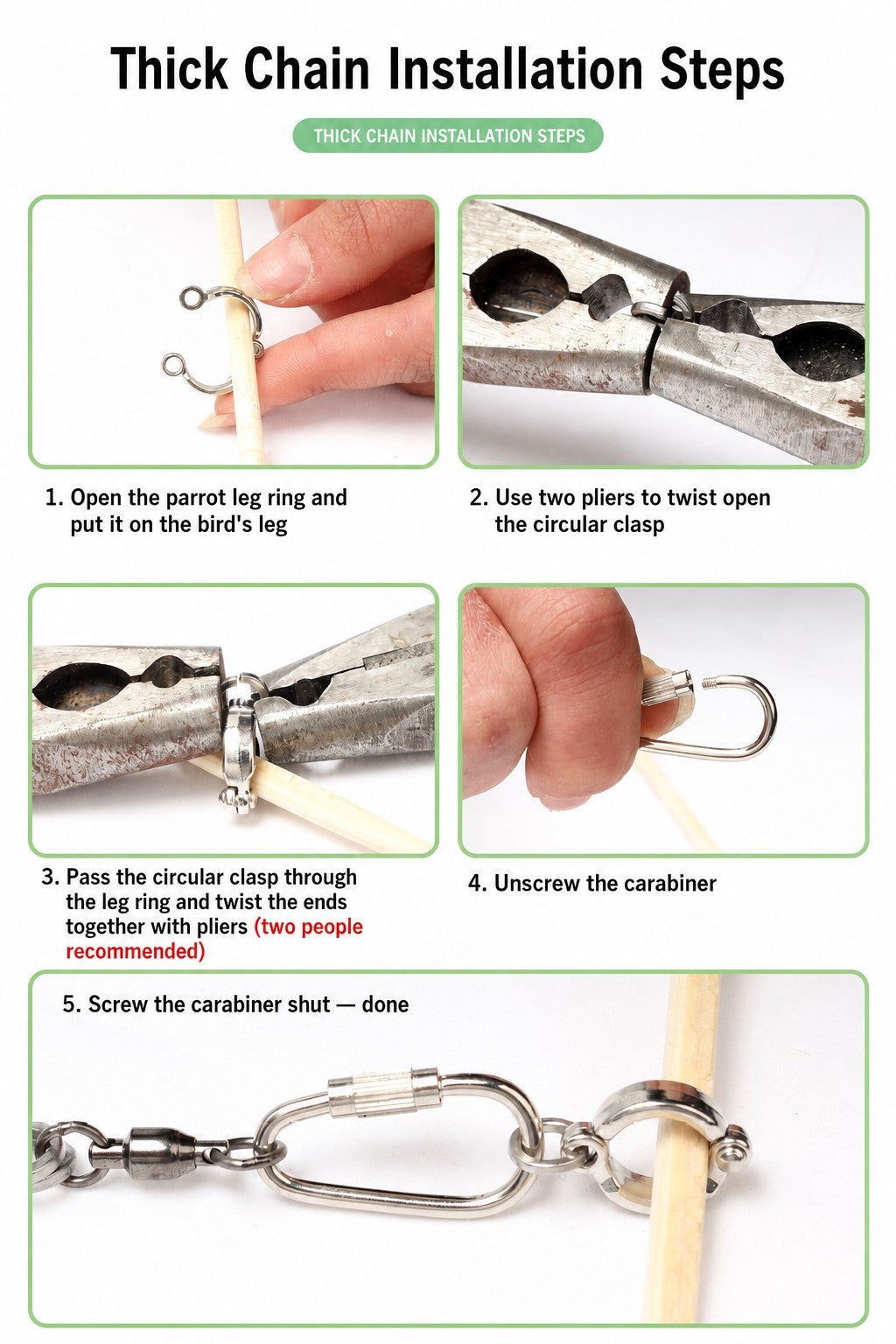 Stainless Steel Parrot Leg Cha - detail_008.jpg