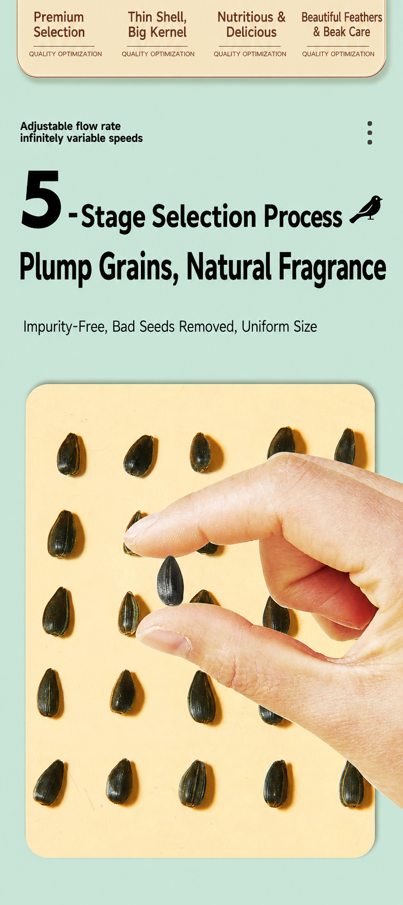 Black Sunflower Seeds for Parr - detail_008.png