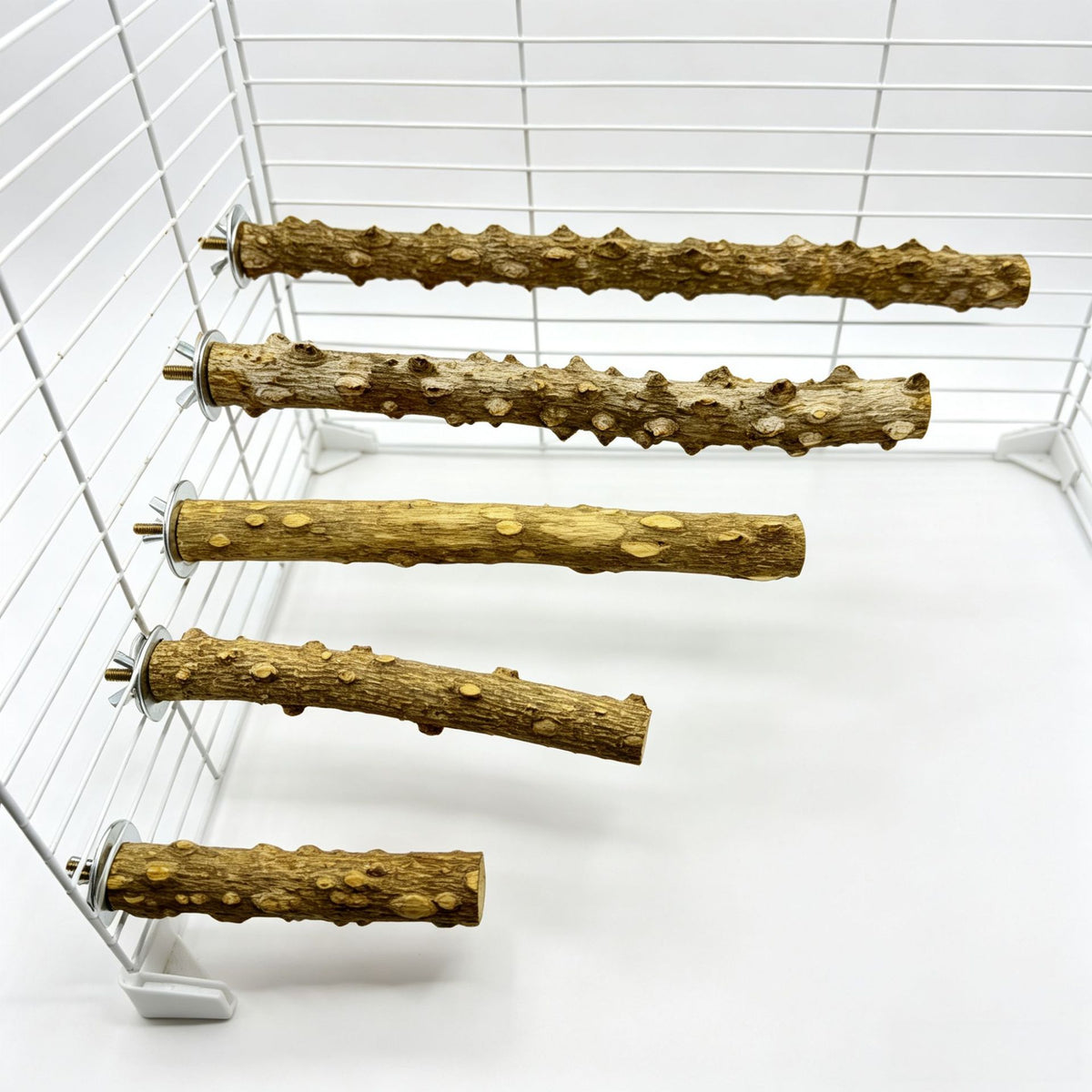 Natural Prickly Ash Wood Perch - detail_008.jpg