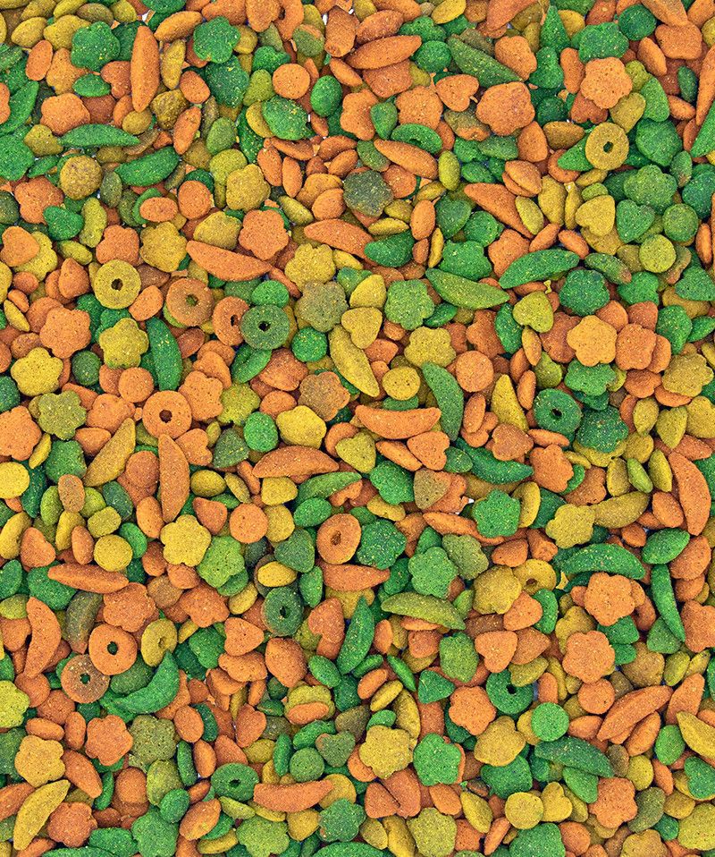 Premium Parrot Pellets – Compl - detail_009.jpg