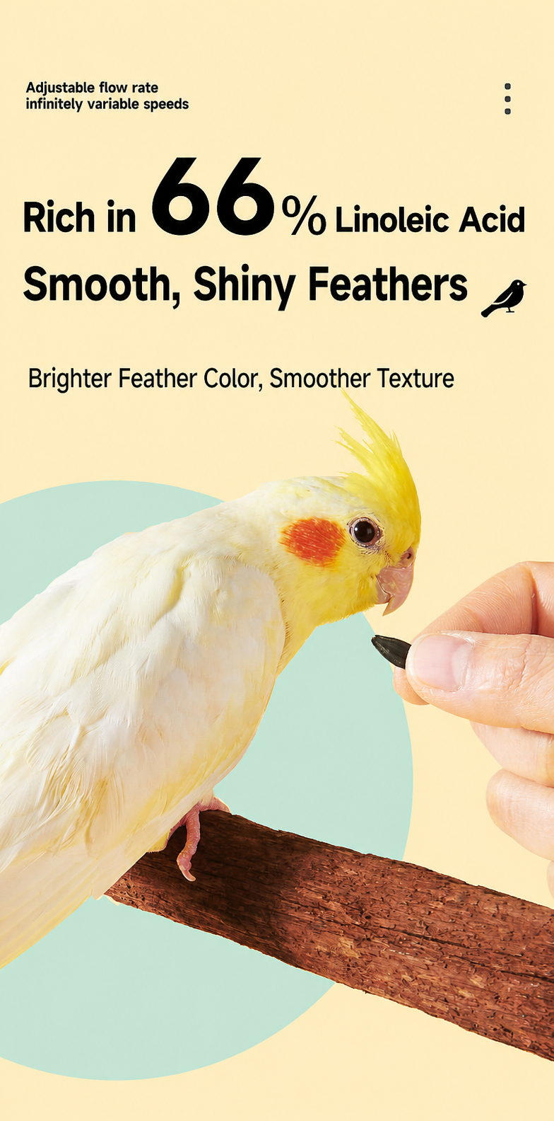 Black Sunflower Seeds for Parr - detail_009.png