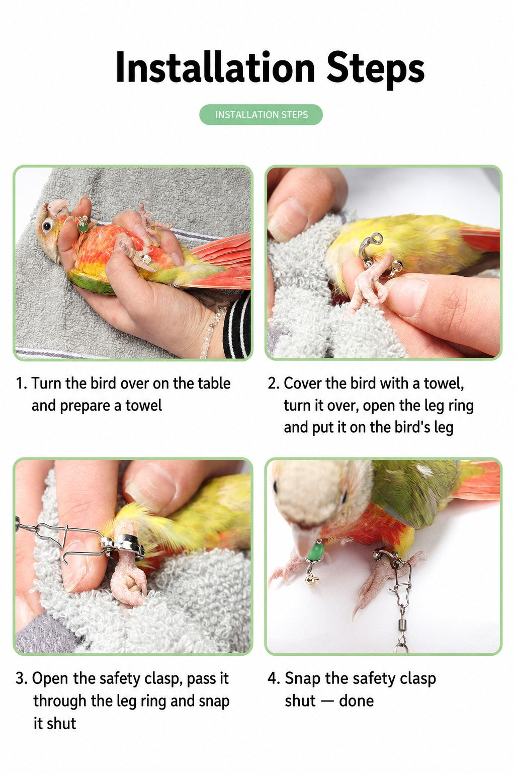 Stainless Steel Parrot Leg Cha - detail_009.jpg