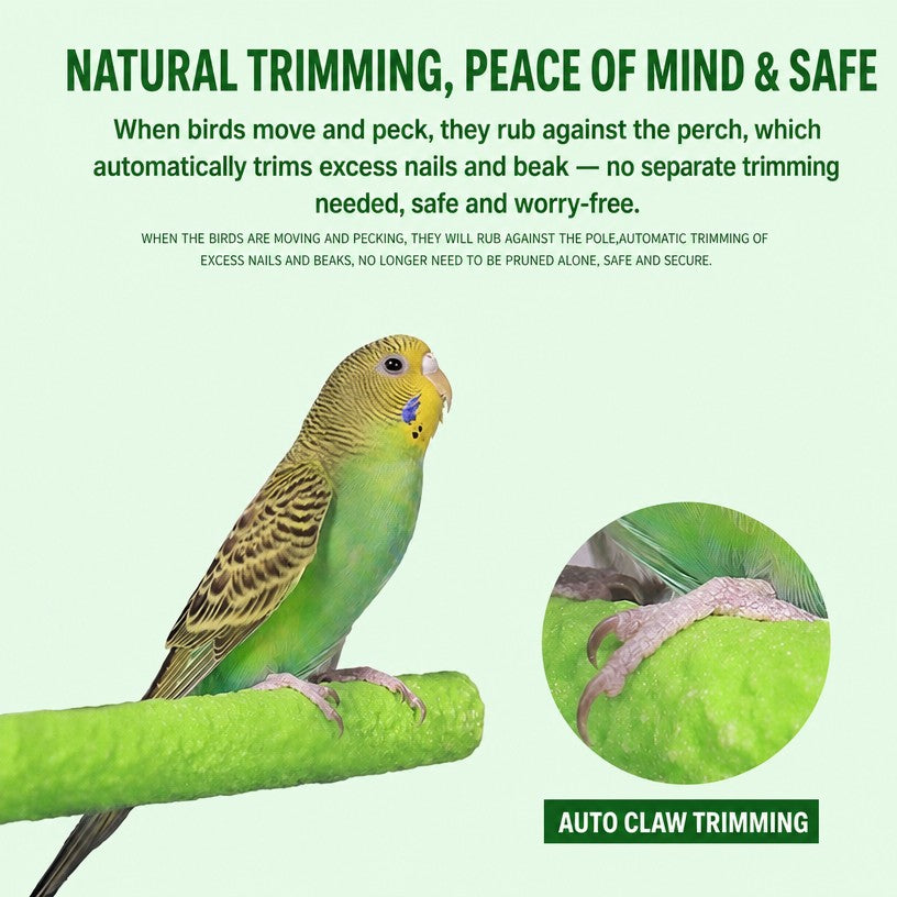 Frosted Parrot Perch – Anti-Sl - detail_009.png