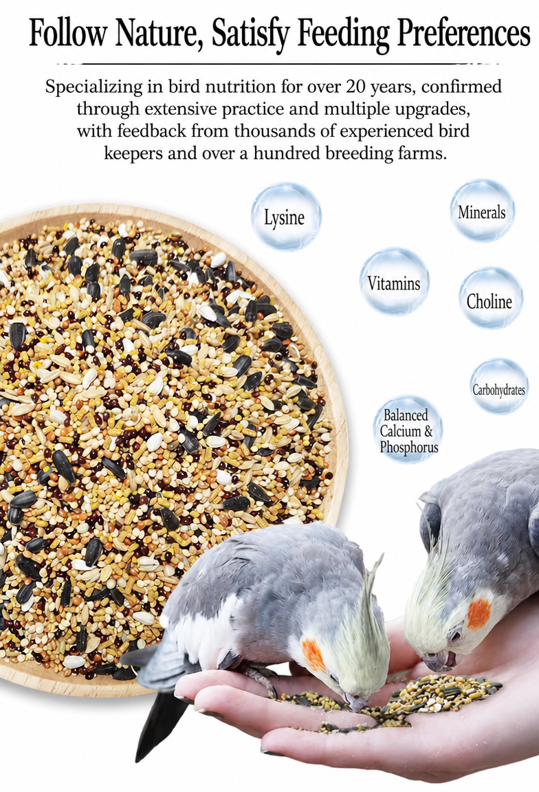 Kaiyuan parrot food - detail 011