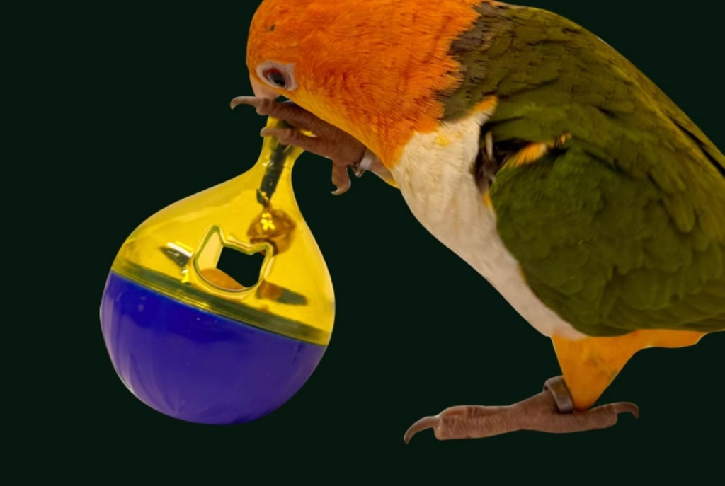 Parrot Foraging Tumbler Ball – - detail_011.png