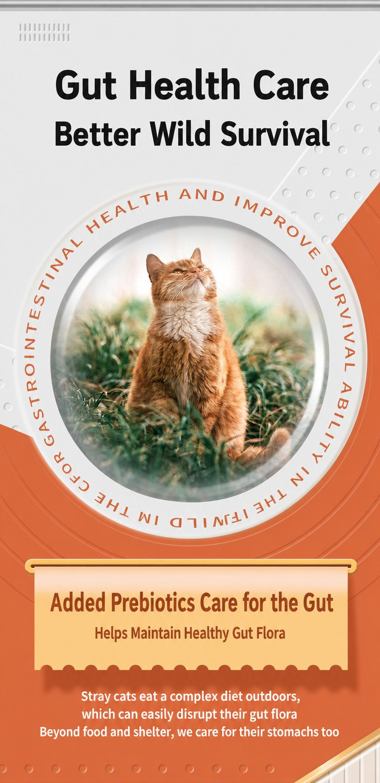 Complete Cat Food – All-Stage  - detail_011.png