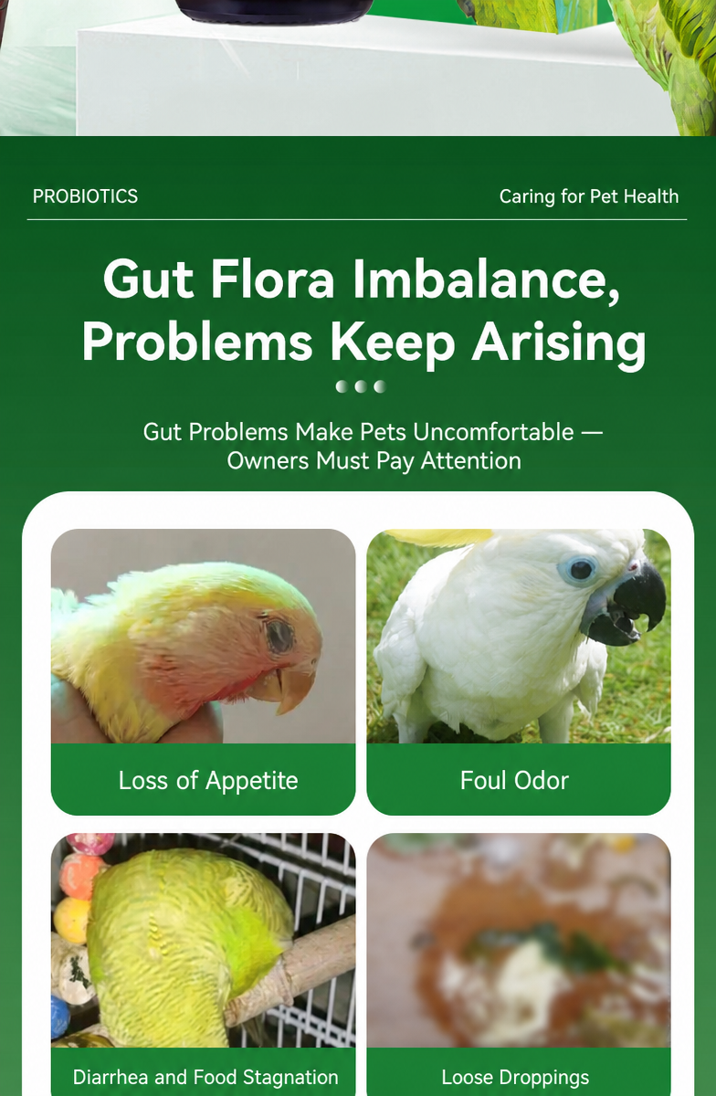 Liquid Probiotics for Parrots  - detail_011.png
