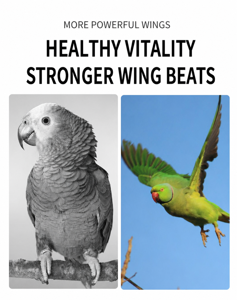 Bird Grit &amp; Mineral Supple - detail_011.png