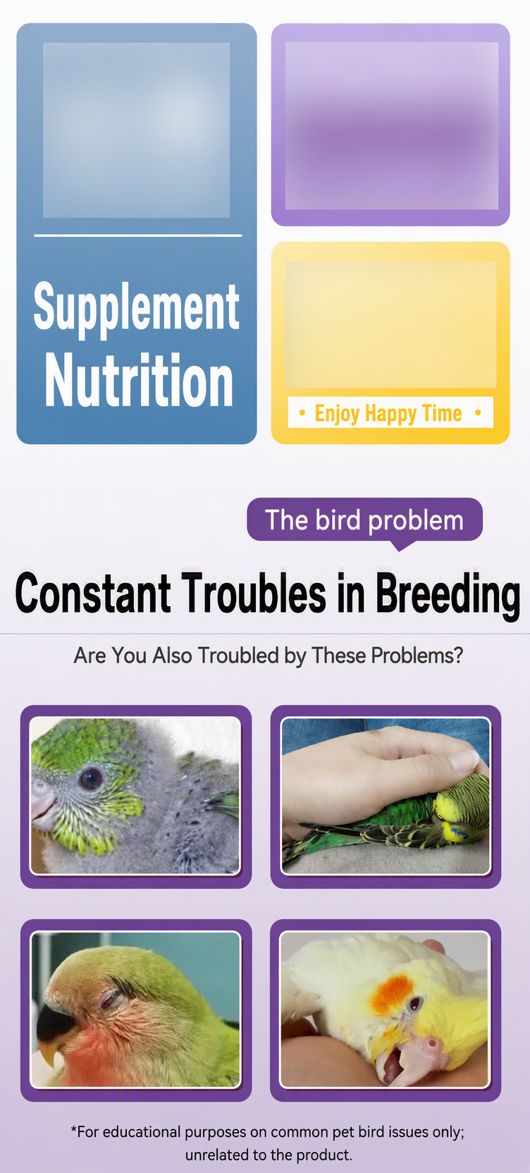 Probiotics for Birds – Gut Hea - detail_011.png