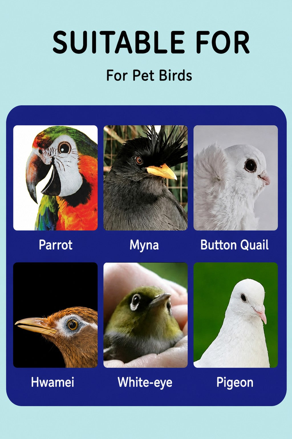 Parrot Cleaning Spray – One-Sp - detail_012.png