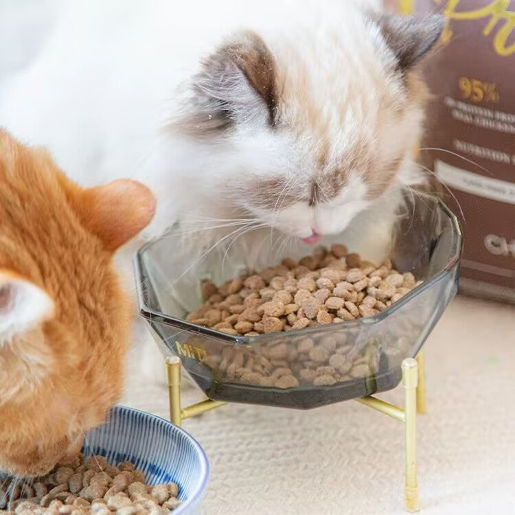 Grain-Free High-Protein Cat Fo - detail_012.jpg