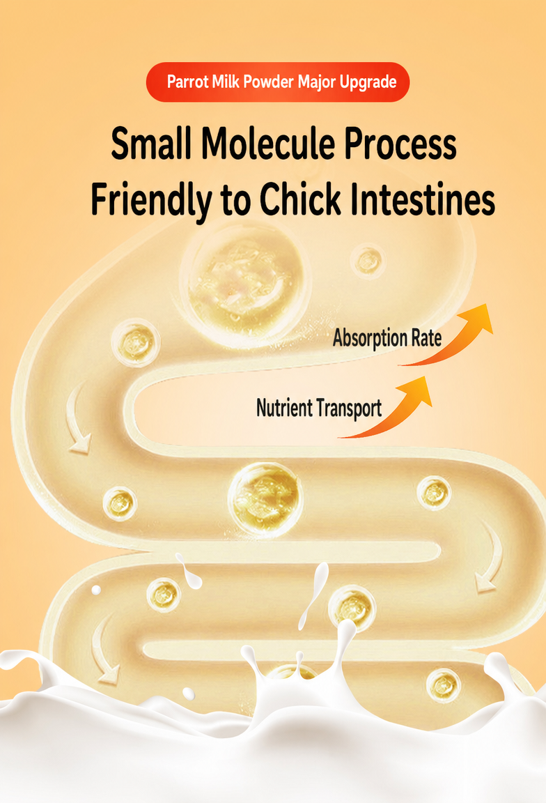 Hand-Feeding Formula for Baby  - detail_012.png