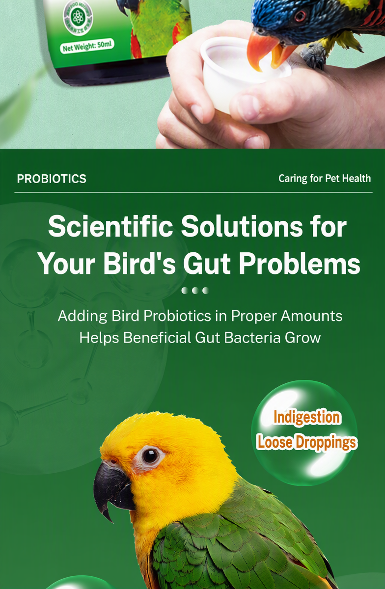 Liquid Probiotics for Parrots  - detail_013.png