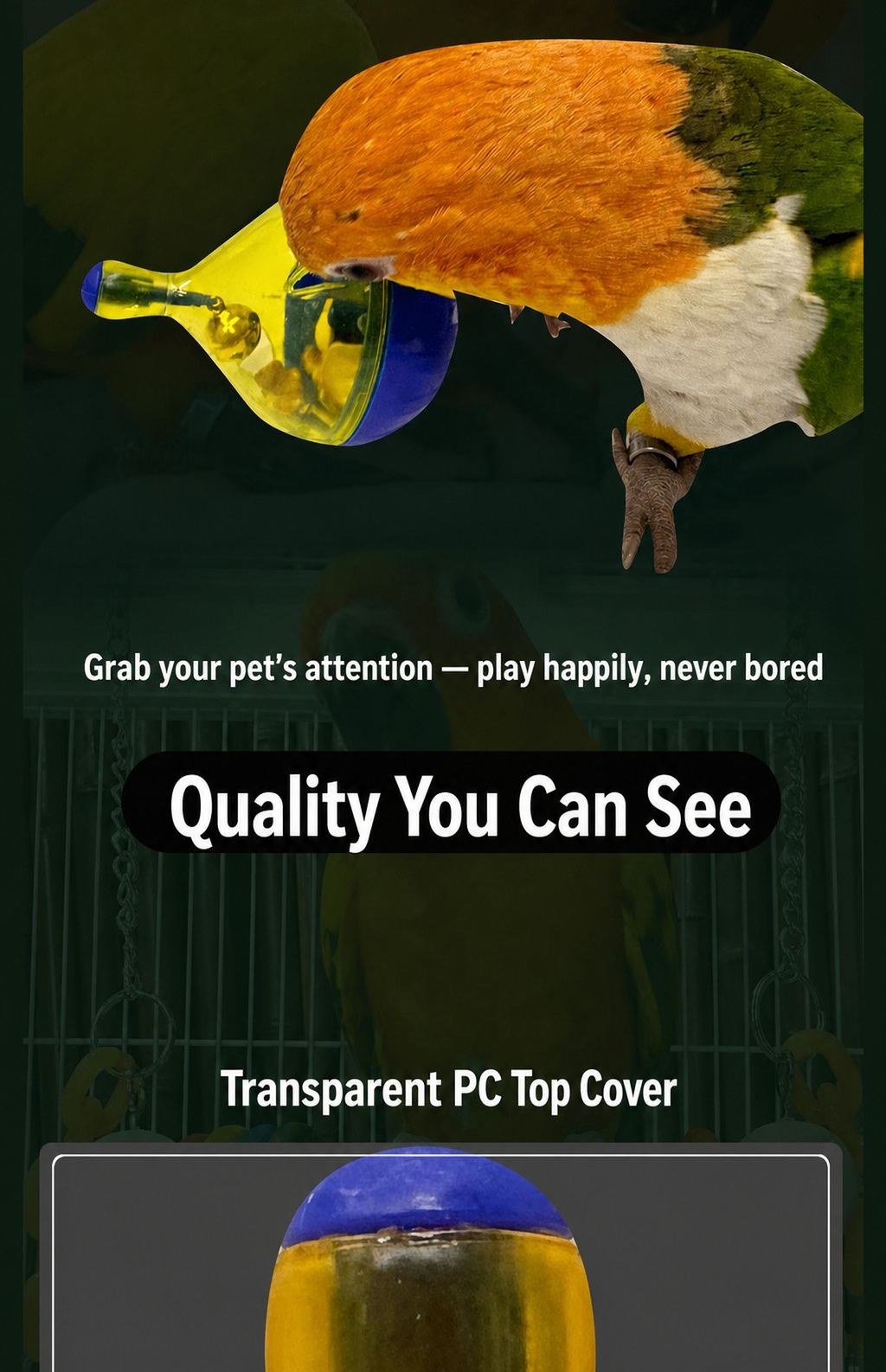 Parrot Foraging Tumbler Ball – - detail_014.png