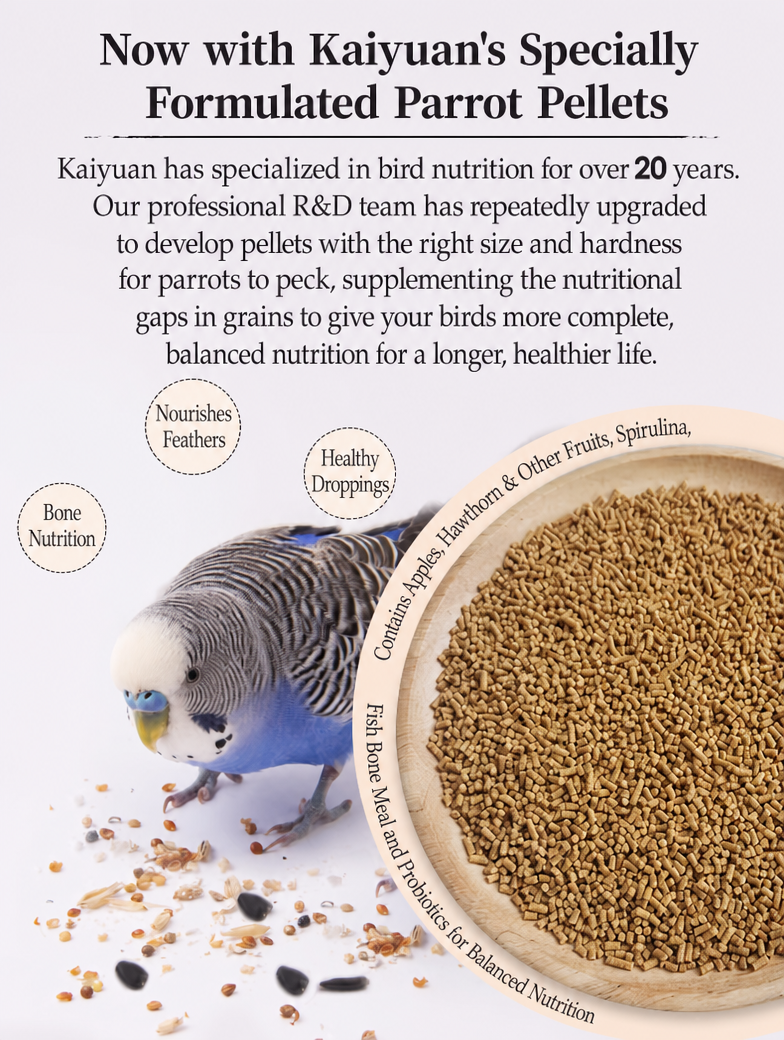 Kaiyuan parrot food - detail 015