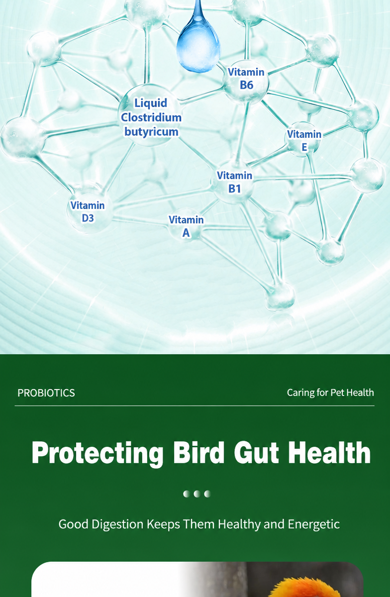 Liquid Probiotics for Parrots  - detail_015.png