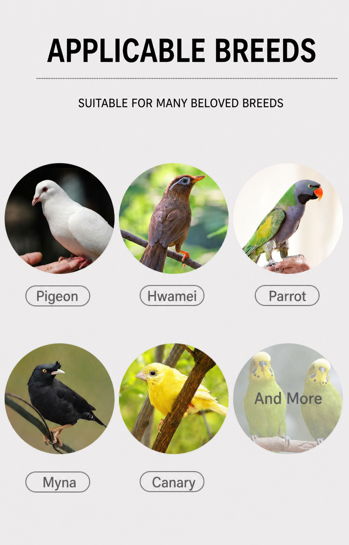 Bird Grit &amp; Mineral Supple - detail_015.png