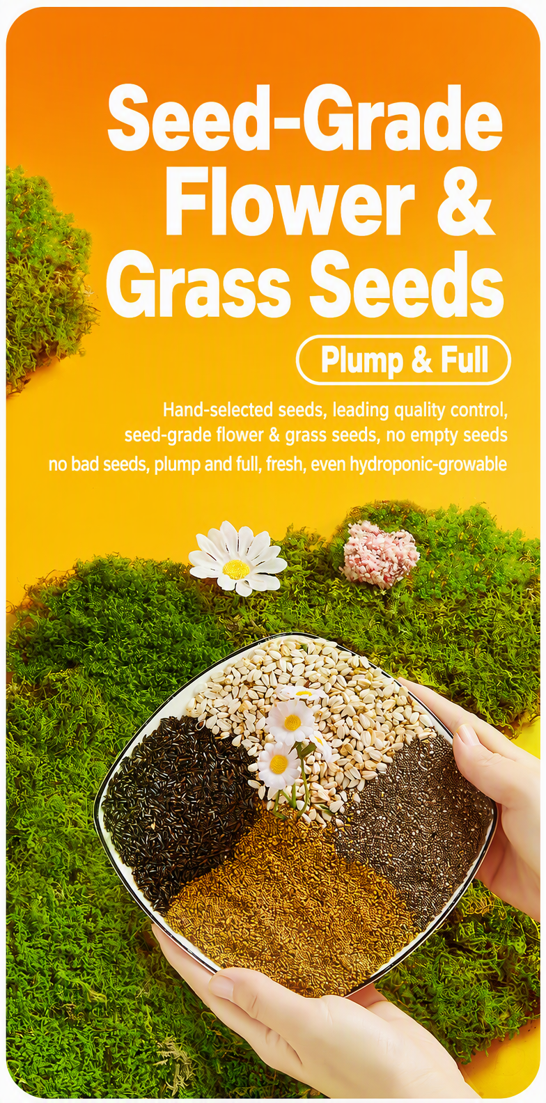 Lovebird-Specific Seed Mix wit - detail_015.png