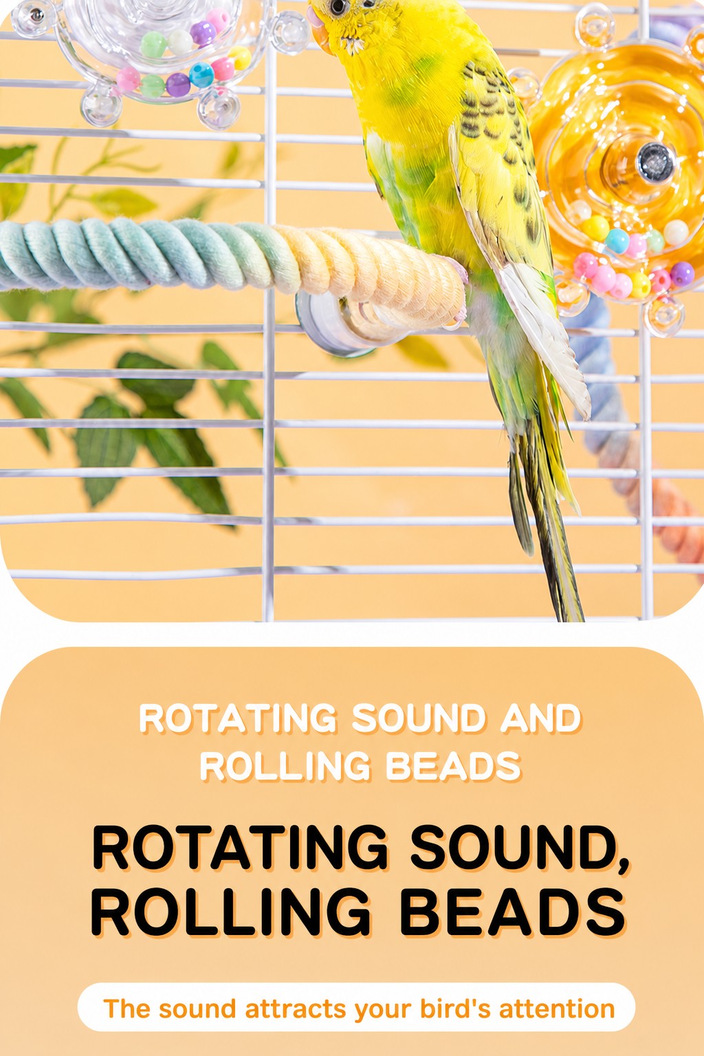 Parrot Spinning Top Toy – Bore - detail_016.png