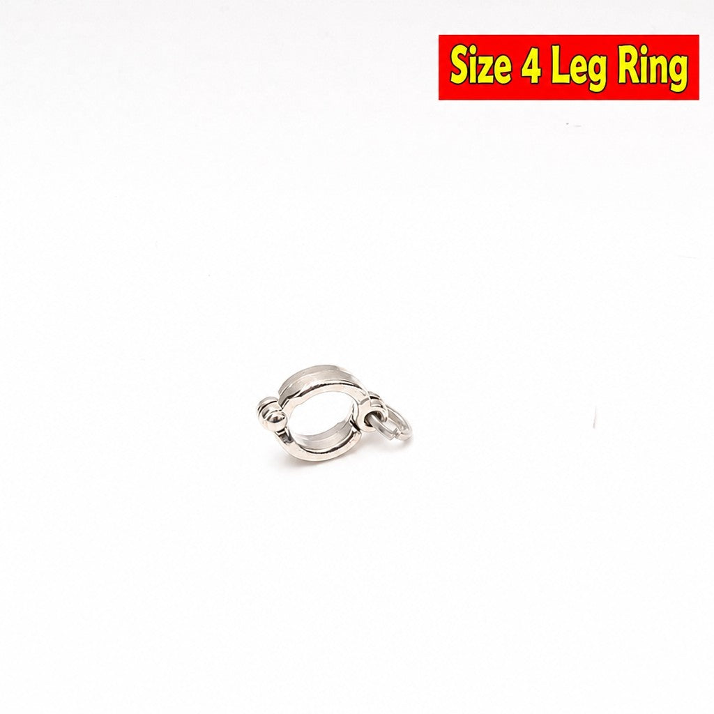 Stainless Steel Parrot Leg Cha - detail_016.jpg