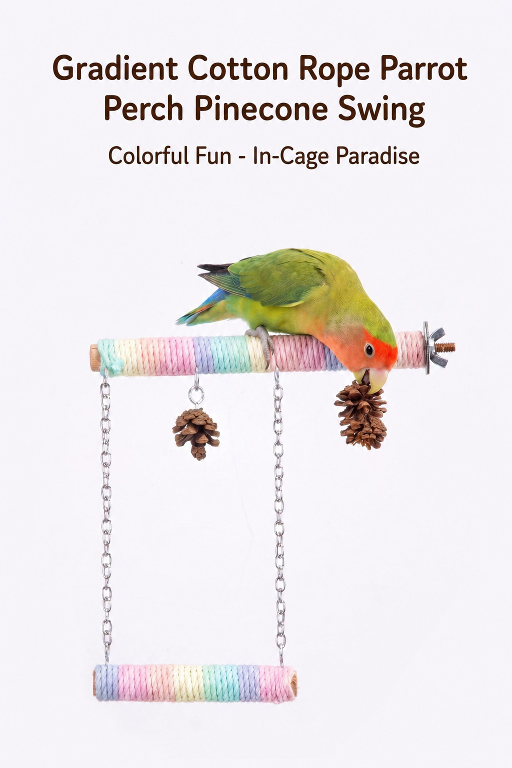 Parrot Perch Swing with Pineco - detail_017.png