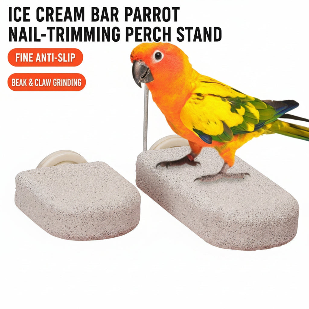 Ice Cream Bar Parrot Nail-Trim - head_001.png