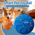 Smart Interactive Dog Ball – E - head_001.png