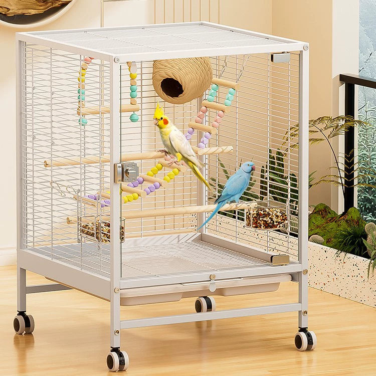 Splash-Proof Bird Cage with Gl - head_001.webp