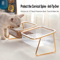 Cat & Dog Stainless Steel Feed - head_001.png