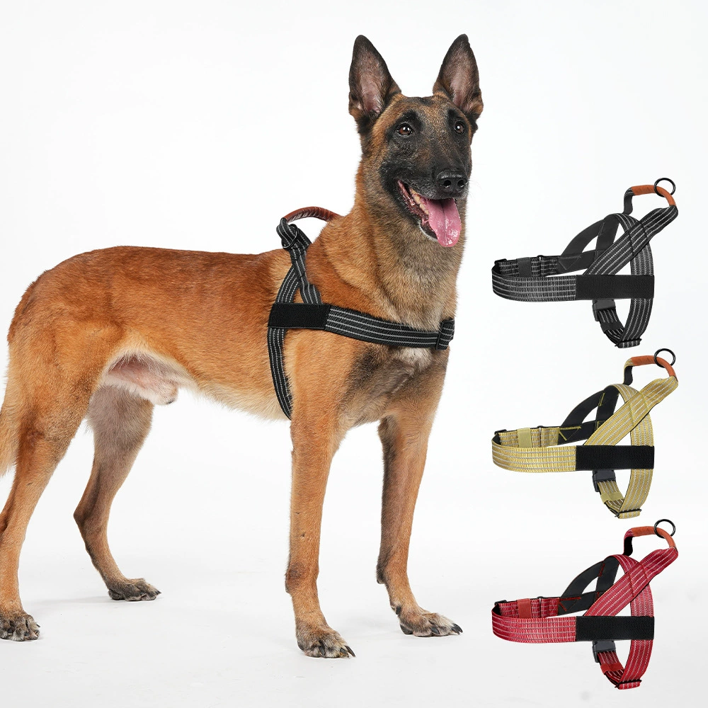 No-Pull Dog Harness & Leash Se - head_001.png