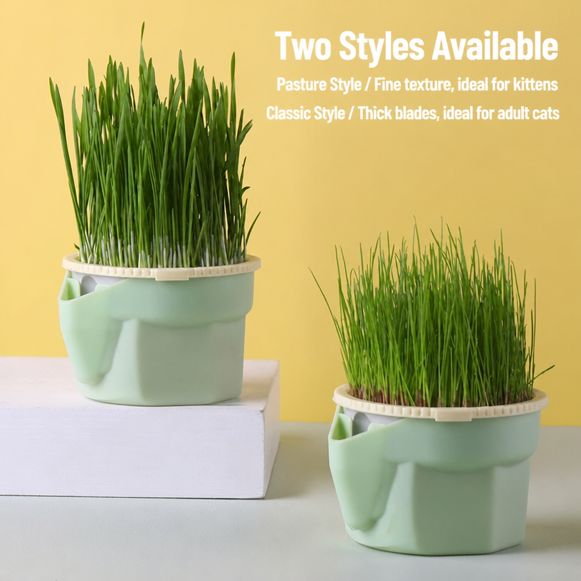 Cat Grass Growing Cup – Soil-F - head_001.png
