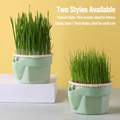 Cat Grass Growing Cup – Soil-F - head_001.png