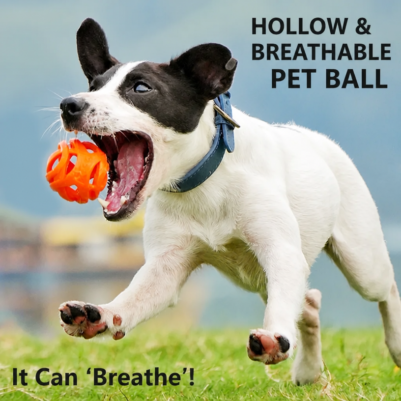 Pet Bounce Rubber Ball Toy – H - head_001.png