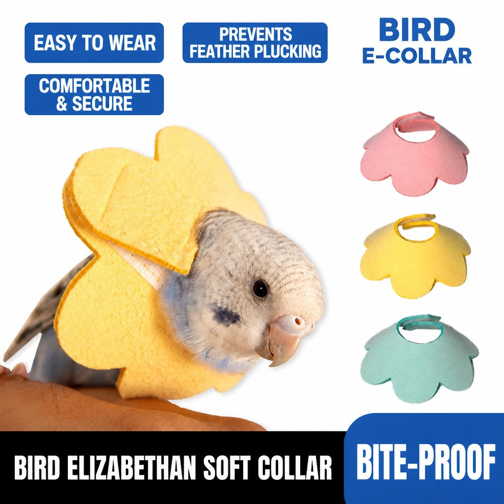 Bird Elizabethan Collar – Inju - head_001.png