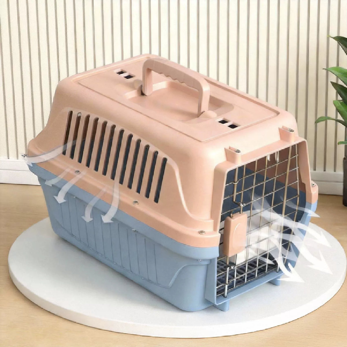 Pet Airline Carrier – Portable - head_001.webp