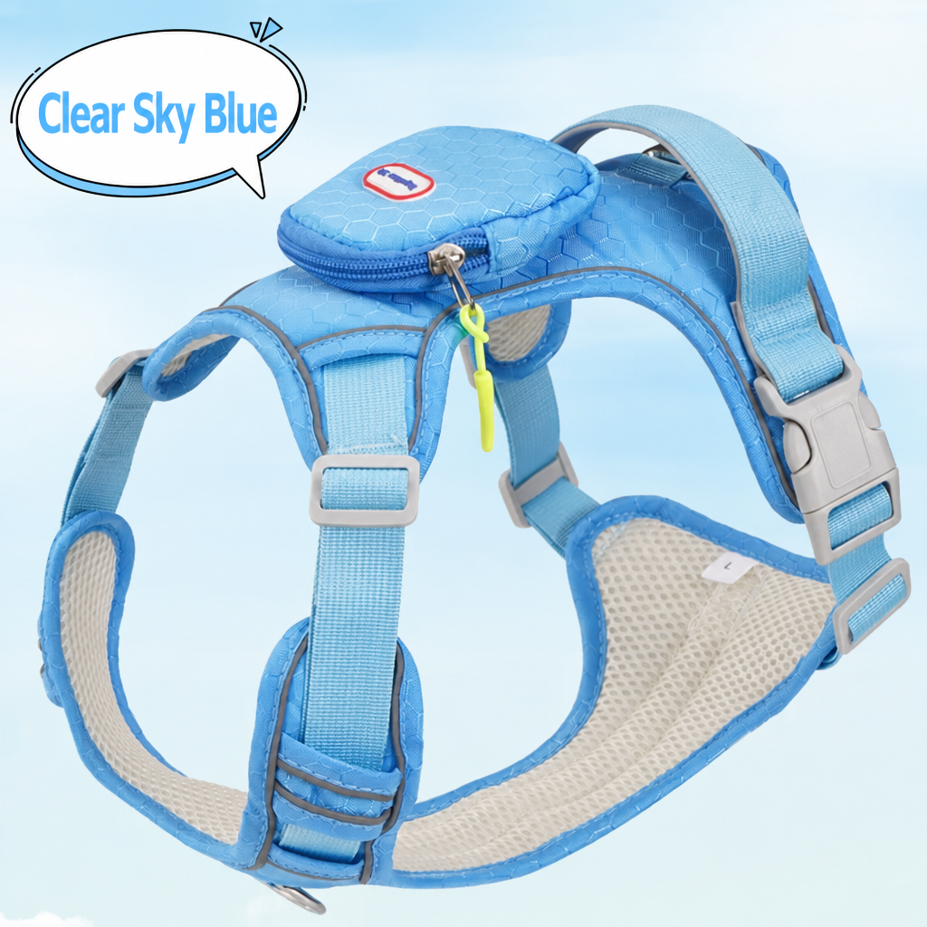 No-Pull Dog Harness & Leash Se - head_001.png