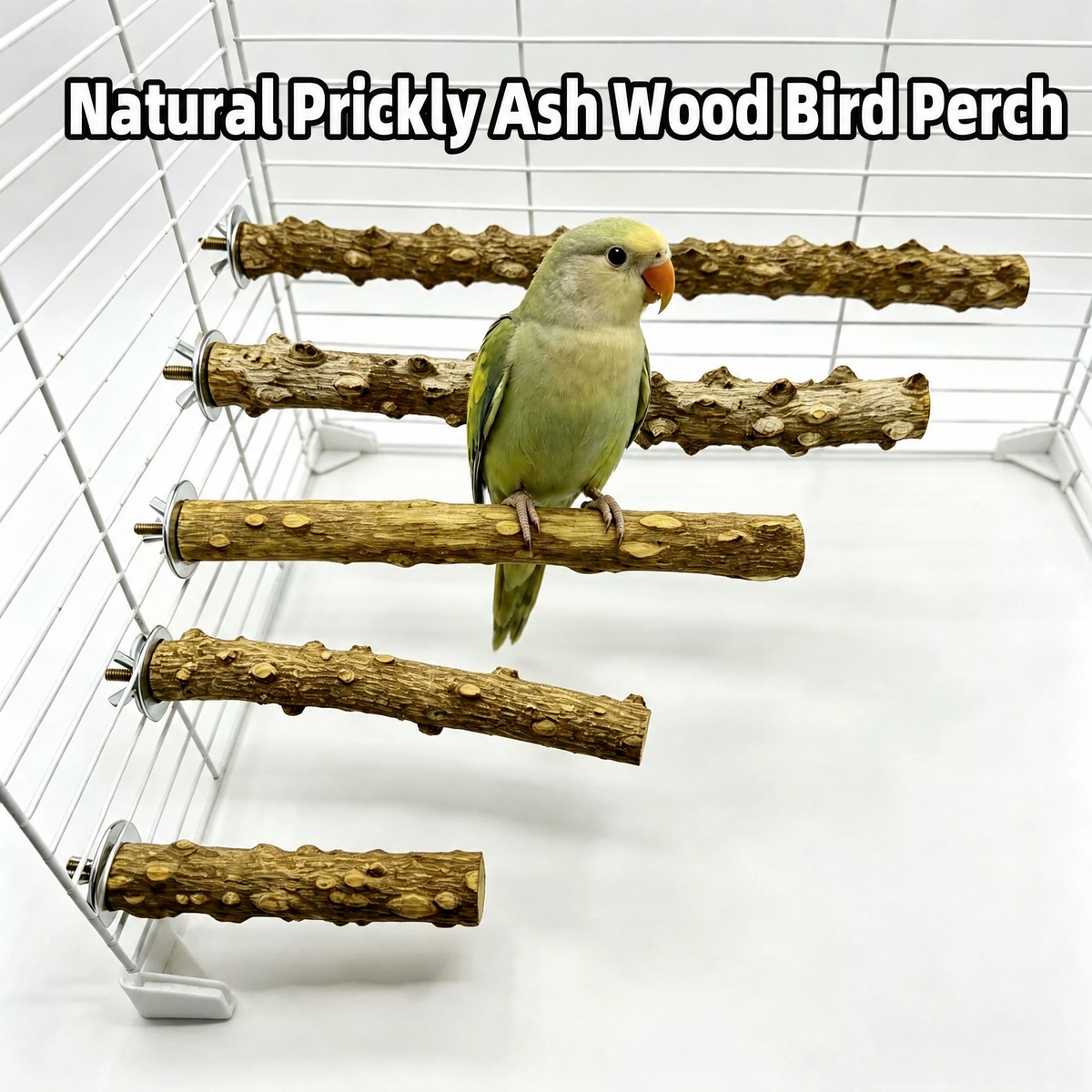 Natural Prickly Ash Wood Perch - head_001.png