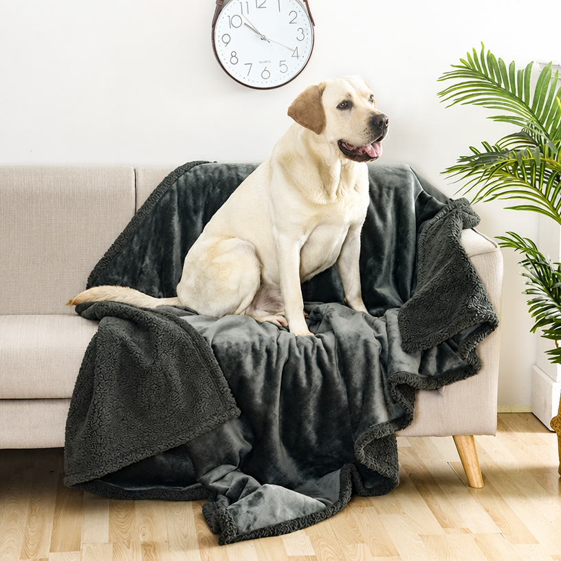 Waterproof Pet Blanket – Thick - head_001.png